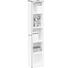REGAL Ahornfarben - Ahornfarben, Design, Holzwerkstoff (28/148/26cm) - CS SCHMAL