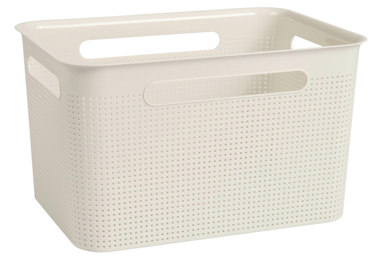 BOX, plast - Konvenční, plast (36/26,2/21,1cm) - Rotho