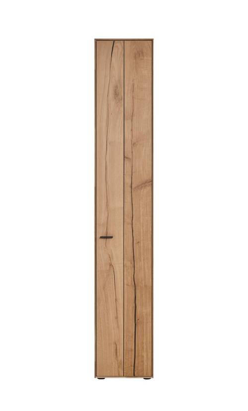ZEILENSCHRANK 35,5/205,5/37,1 cm  in Eichefarben  - Eichefarben/Graphitfarben, Design, Holz/Holzwerkstoff (35,5/205,5/37,1cm) - Dieter Knoll