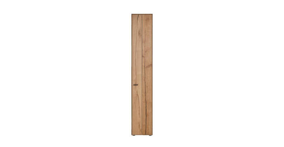 SCHRANK 35,5/205,5/37,1 cm  - Eichefarben/Graphitfarben, Design, Holz/Holzwerkstoff (35,5/205,5/37,1cm) - Dieter Knoll