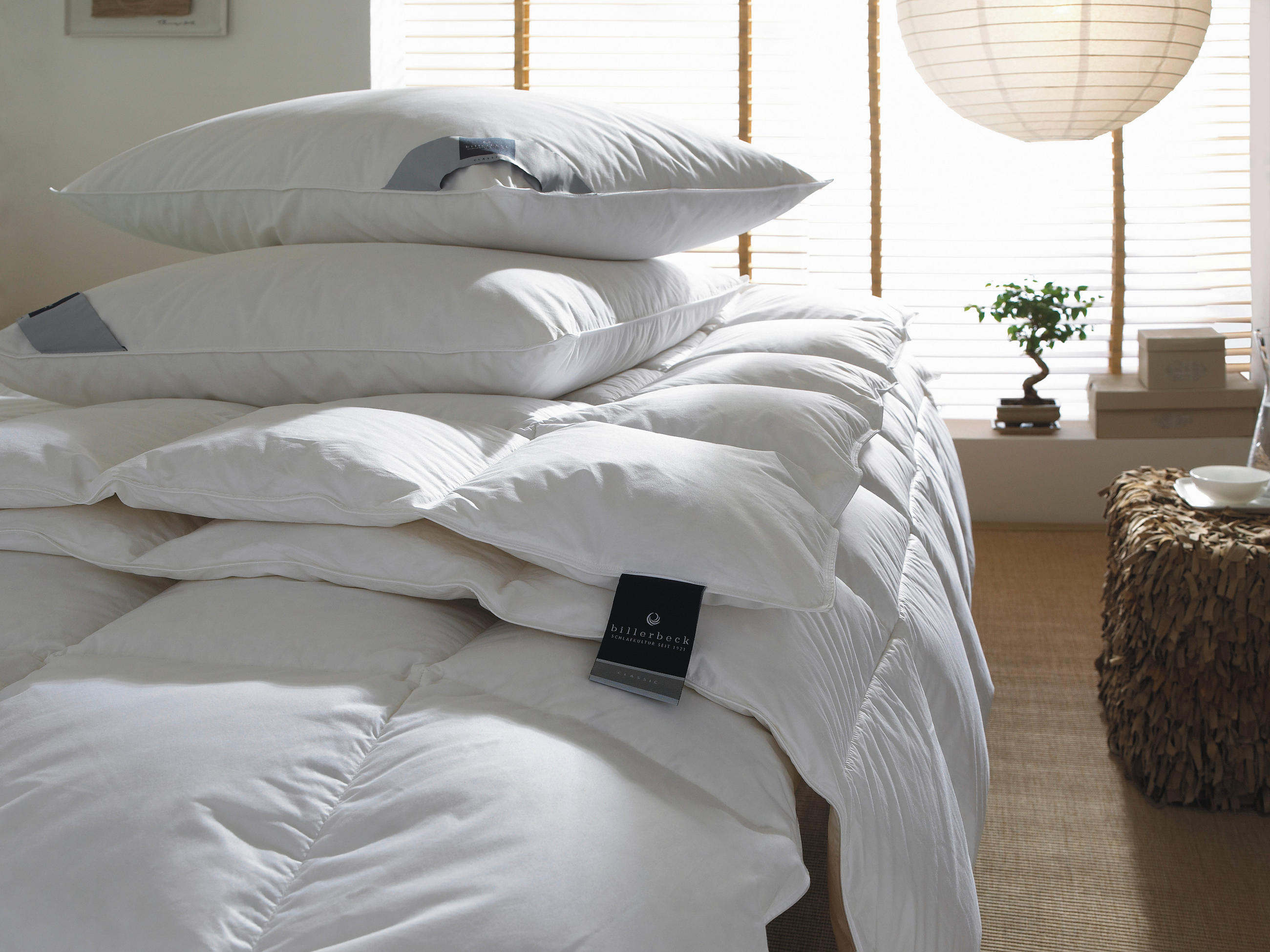 JASTUK  60/80 cm       - bela, Osnovno, tekstil (60/80cm) - Billerbeck