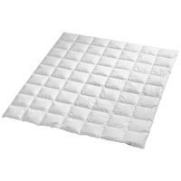 LEICHTDUVET 200/210 cm  - Weiss, Basics, Textil (200/210cm) - Billerbeck