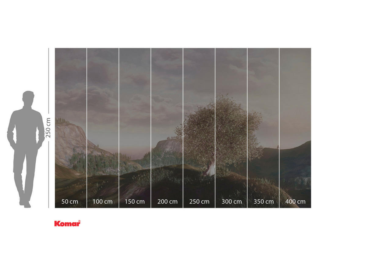 VLIESTAPETE 2,5 m  - Multicolor, Basics (400/250cm) - Xora