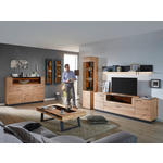 WOHNWAND Lavia  in Anthrazit, Eichefarben, Bronzefarben  269/205/49 cm  - Eichefarben/Anthrazit, Design, Glas/Holz (269/205/49cm) - Valnatura