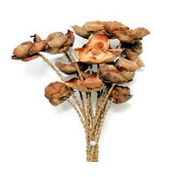 KONSTBLOMMA - Design (60cm)