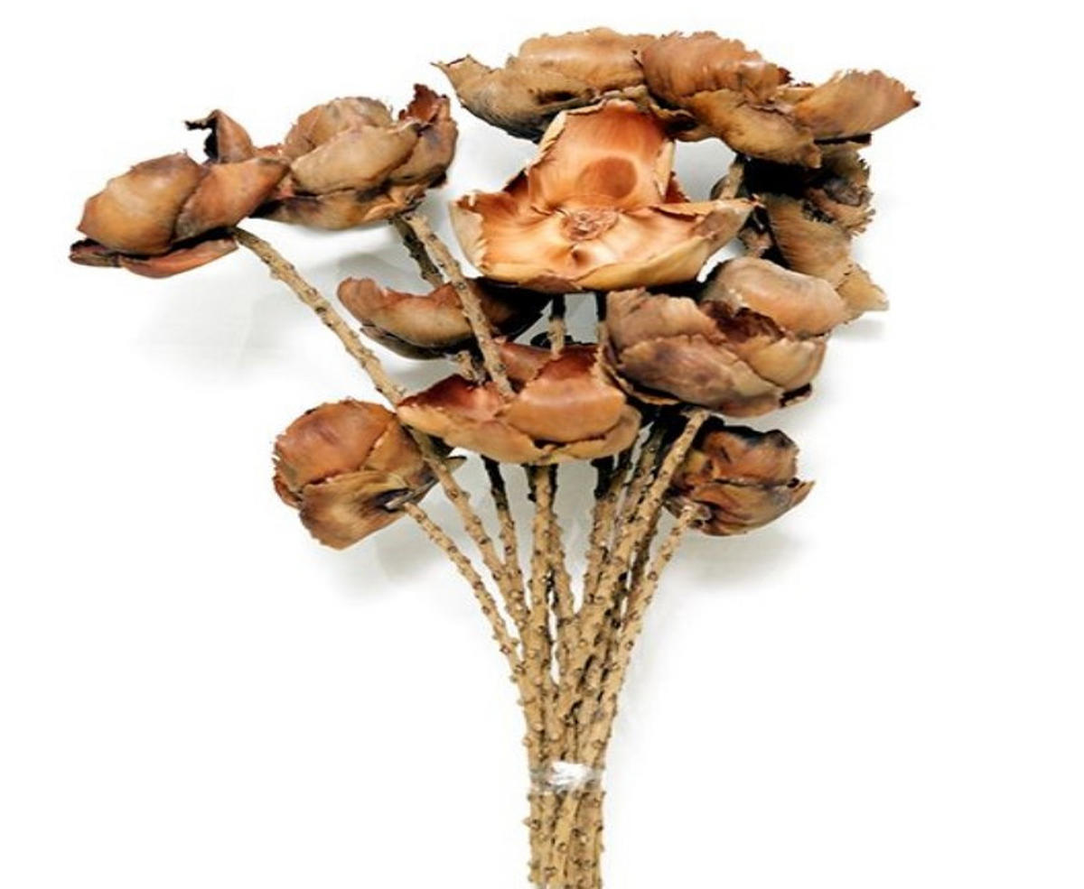 KONSTBLOMMA - Design (60cm)