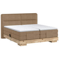 BOXSPRINGBETT 160/200 cm  in Eichefarben, Rostfarben  - Eichefarben/Rostfarben, Natur, Holz/Holzwerkstoff (160/200cm) - Valnatura