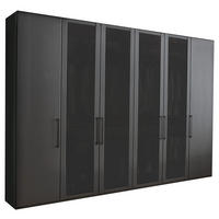 DREHTÜRENSCHRANK 300/236/58 cm 6-türig Graphitfarben  - Schwarz/Graphitfarben, KONVENTIONELL, Glas/Holzwerkstoff (300/236/58cm) - Novel