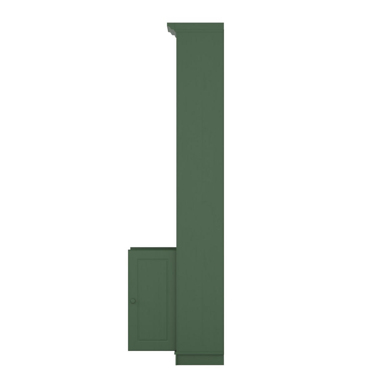 BÜCHERWAND Kiefer massiv Grün  - Grün, Design, Holz (74/223/37cm) - Livetastic