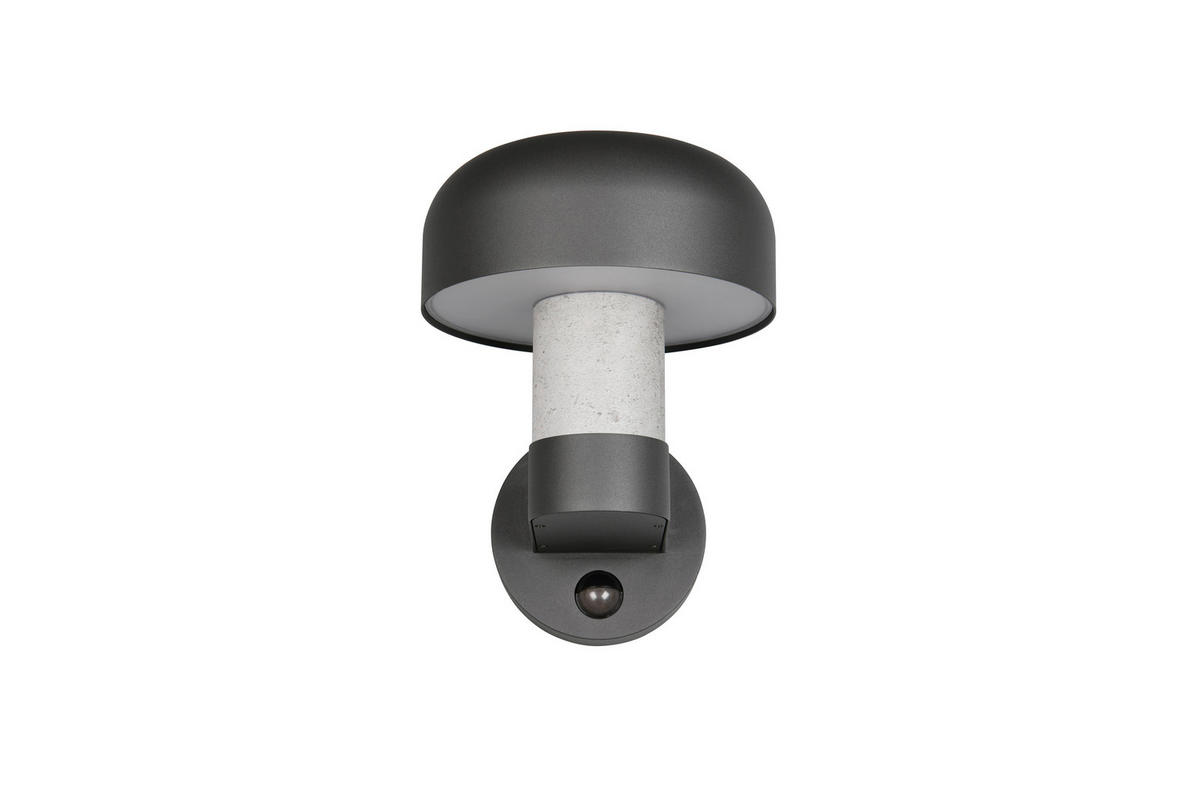 AUSSENWANDLEUCHTE - Weiss/Anthrazit, Design, Metall (19/24,5/25cm) - Trio Leuchten