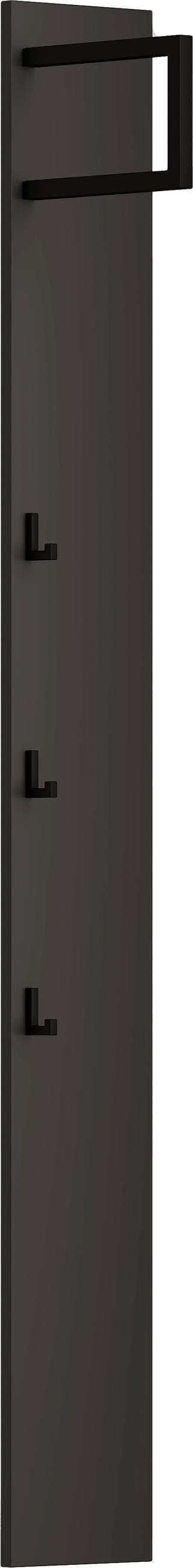 GARDEROBENPANEEL  in 20/165/26 cm  - Anthrazit/Schwarz, Design, Holzwerkstoff/Metall (20/165/26cm) - Dieter Knoll