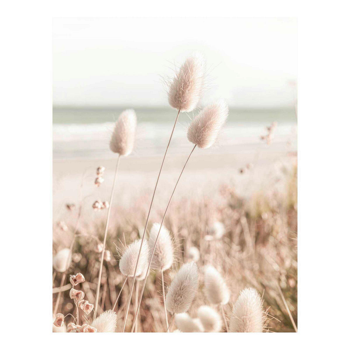 POSTER 40/50 cm  - Multicolor, Natur, Papier (40/50cm) - Reinders!