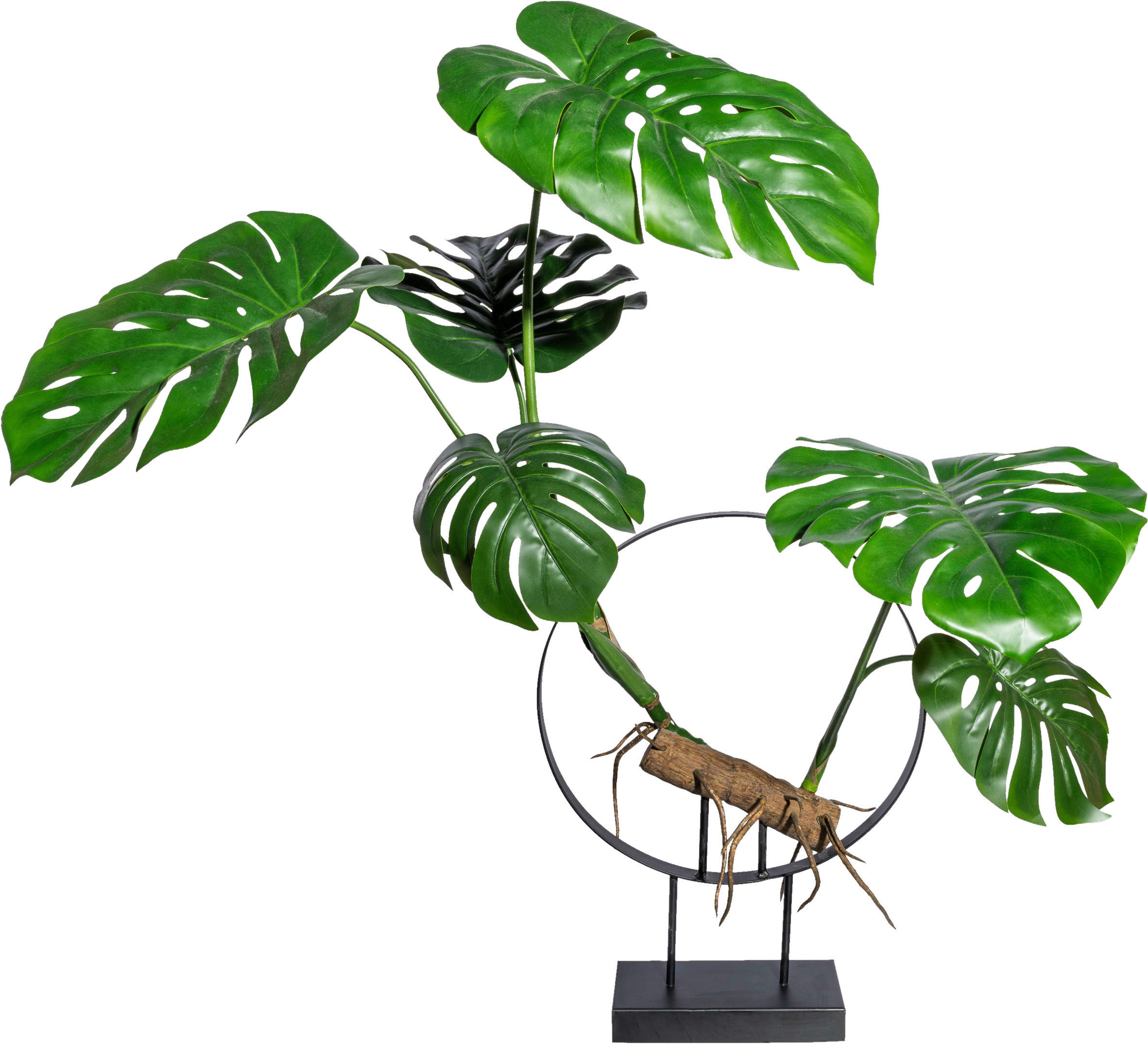 KUNSTPFLANZE Split Philodendron 100 cm  - Braun/Grün, Design, Kunststoff (100cm) - P & B