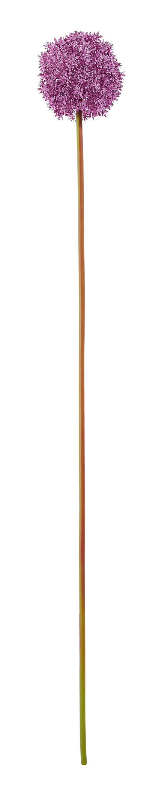 LUK (ALLIUM) - lila, Basics, umetna masa (90cm)
