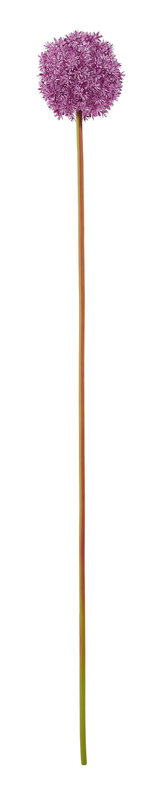 LUK (ALLIUM) - lila, Basics, umetna masa (90cm)