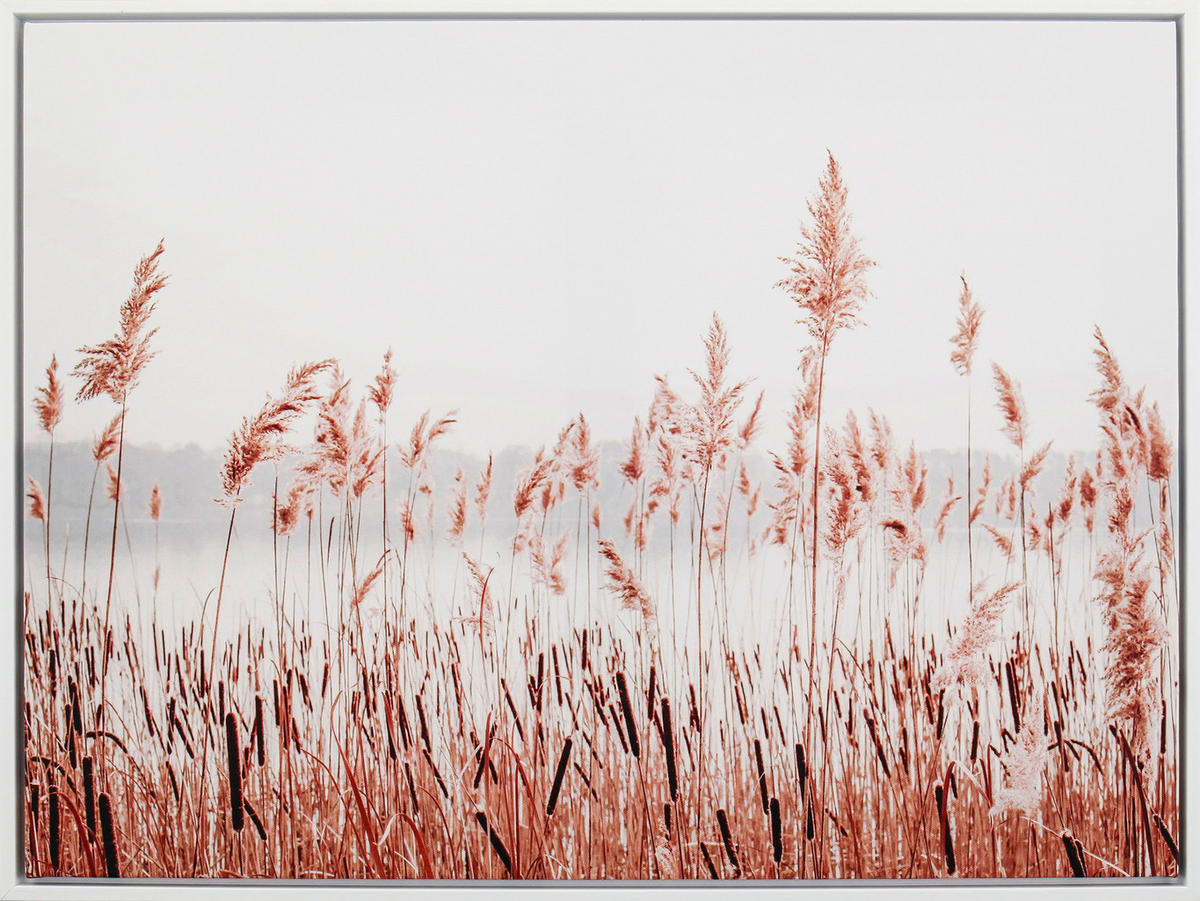 TIŠTĚNÉ OBRAZY NA PLÁTNĚ, krajina a příroda, 60/45 cm  - bílá/hnědá, Natur, kompozitní dřevo/textil (60/45cm) - Monee