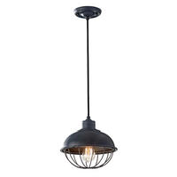 ZÁVESNÉ SVIETIDLO, 25.4/29 cm  - tmavosivá, Basics, kov (25.4/29cm) - Elstead Lighting