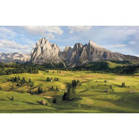 VLIESTAPETE - Natur (400/250cm)