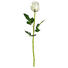 KUNSTBLUME - Creme/Grün, Basics, Kunststoff/Textil (66cm) KUNSTBLUME - Creme/Grün, Basics, Kunststoff/Textil (66cm)