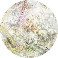 FOTOTAPETE  - Multicolor, Trend (125cm) - Xora