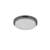 AUßENDECKENLEUCHTE 30/5,7 cm   - Anthrazit/Weiß, Basics, Kunststoff/Metall (30/5,7cm)