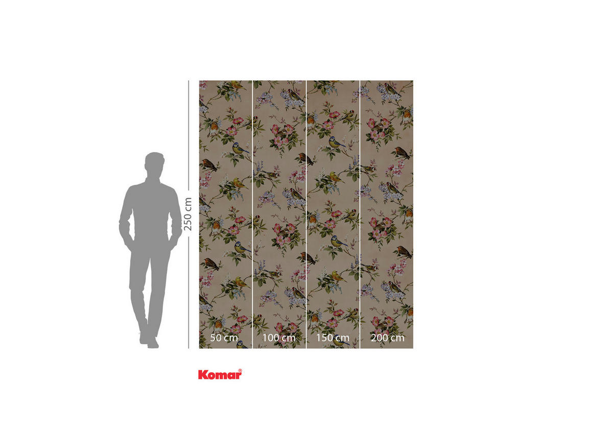 VLIESTAPETE - Multicolor, Basics (200/250cm) - Komar