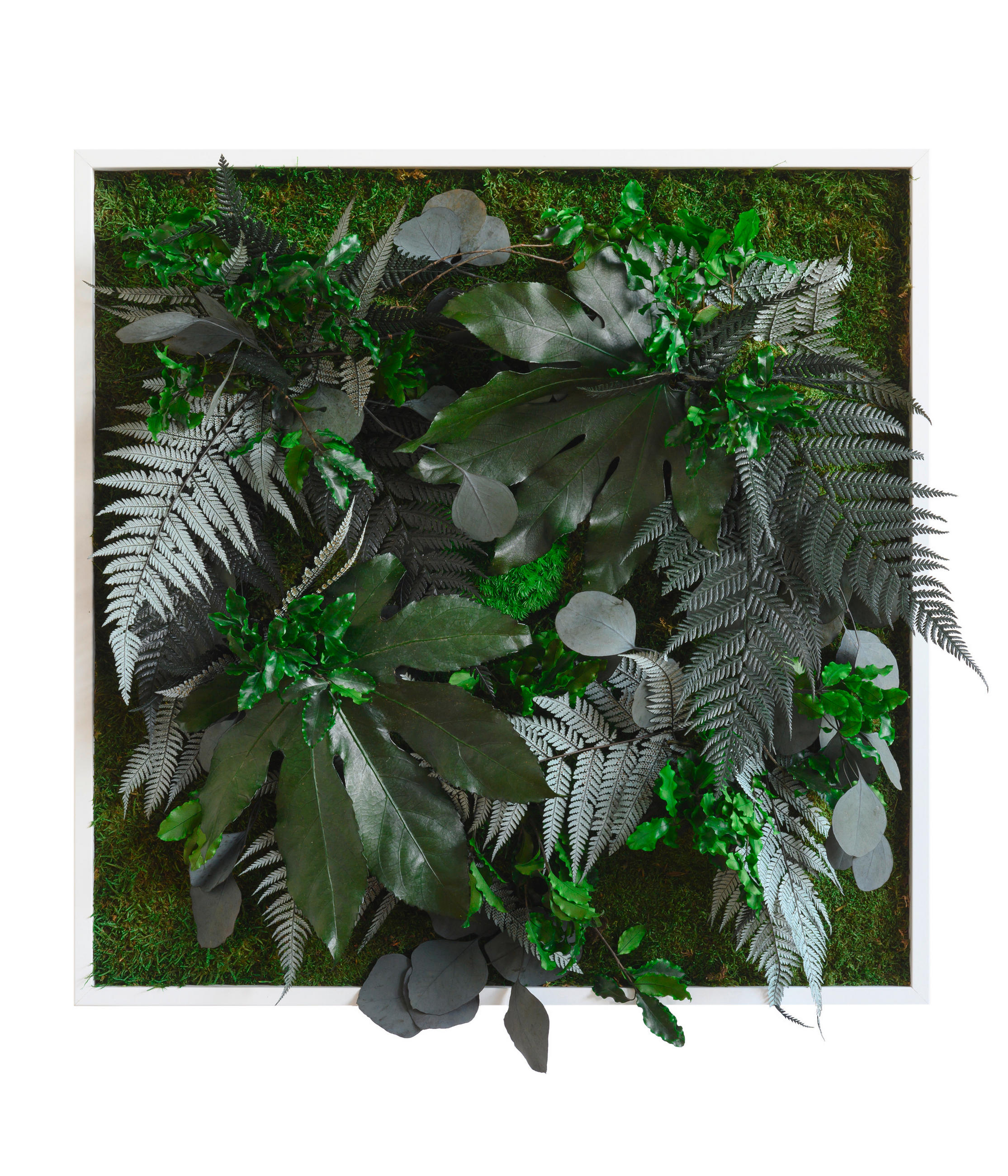 MOOSBILD Stylegreen  - Weiß/Grün, Basics, Naturmaterialien/Holz (57/27/15-17cm)