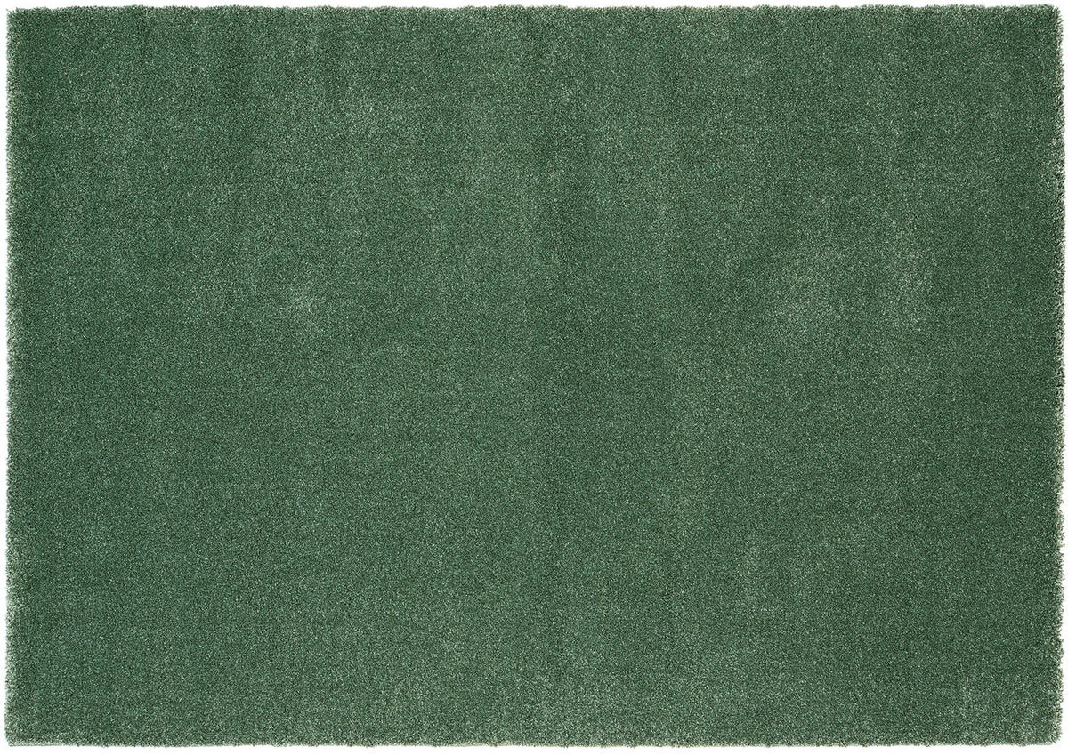 WEBTEPPICH 200/290 cm Grün  - Grün, Basics, Textil (200/290cm) - Novel