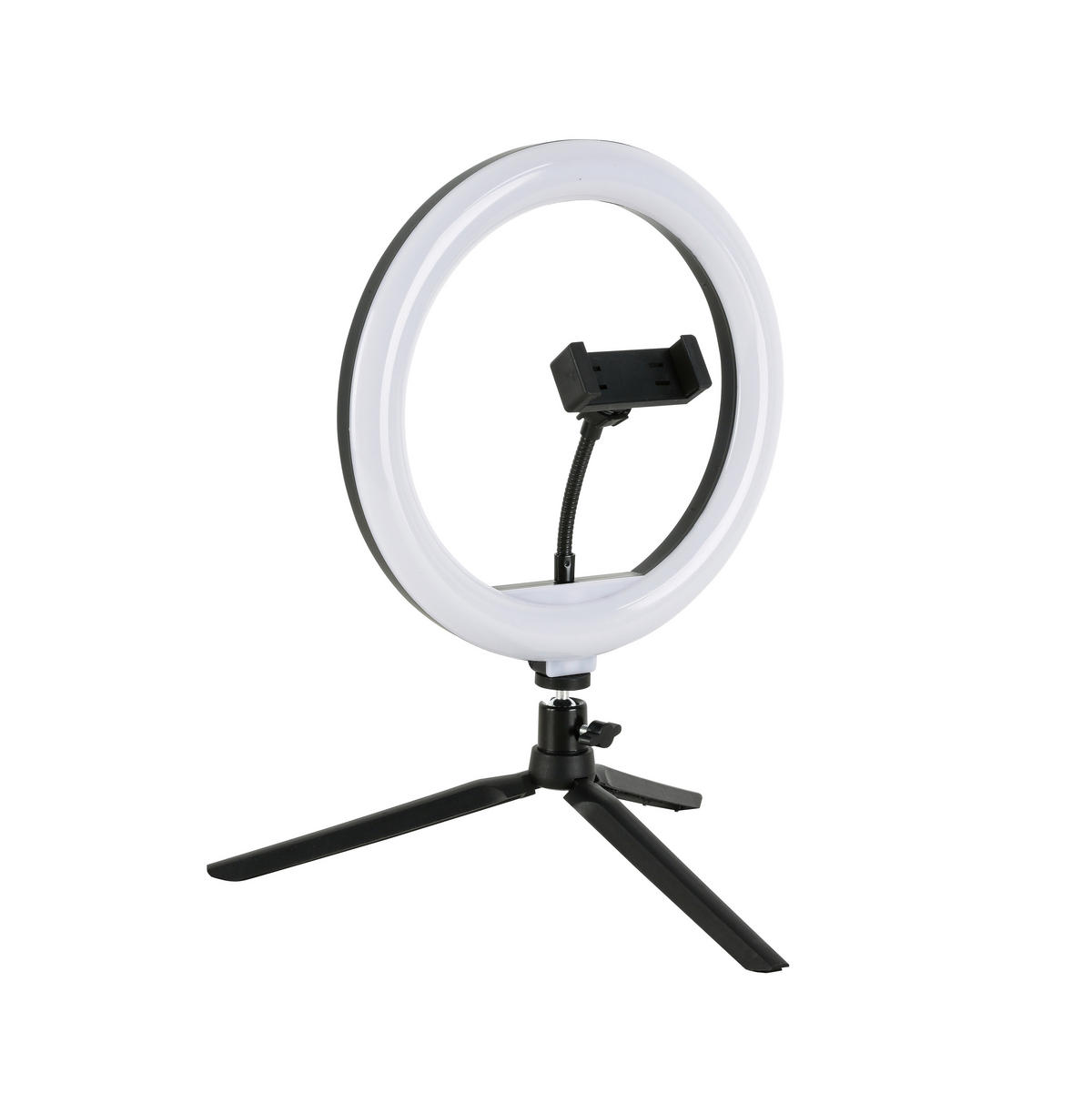 LED-RINGLAMPA 24,5/38 cm   - vit/svart, Trend, metall/plast (24,5/38cm) - Novel