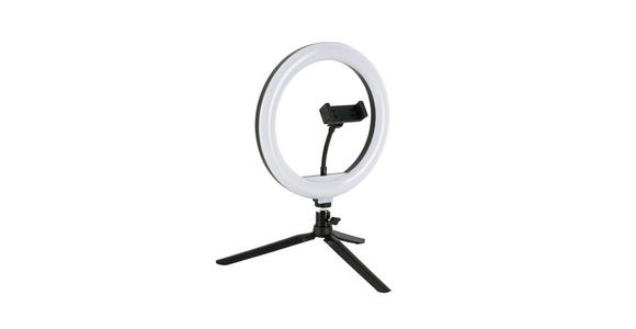 LED-RINGLEUCHTE 24,5/38 cm   - Schwarz/Weiß, Trend, Kunststoff/Metall (24,5/38cm) - Novel