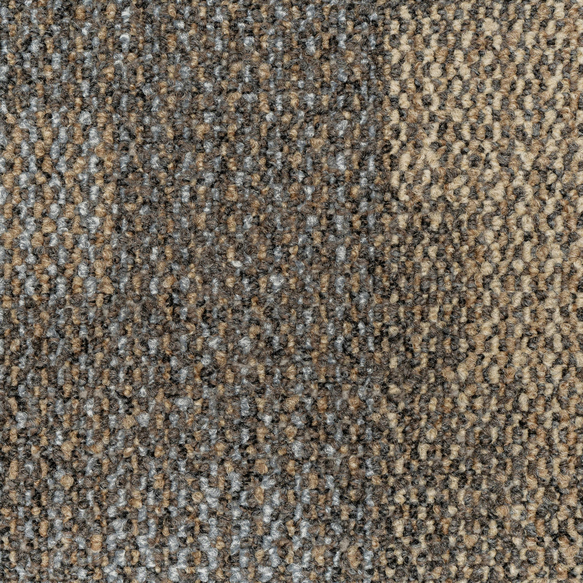 Teppichfliese Essential 72 50/50 cm in Grau, Hellbraun  - Hellbraun/Grau, Basics, Textil (50/50cm)