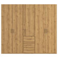 DREHTÜRENSCHRANK in Eichefarben - Eichefarben, Design, Holzwerkstoff/Kunststoff (251/223/60cm) - Novel