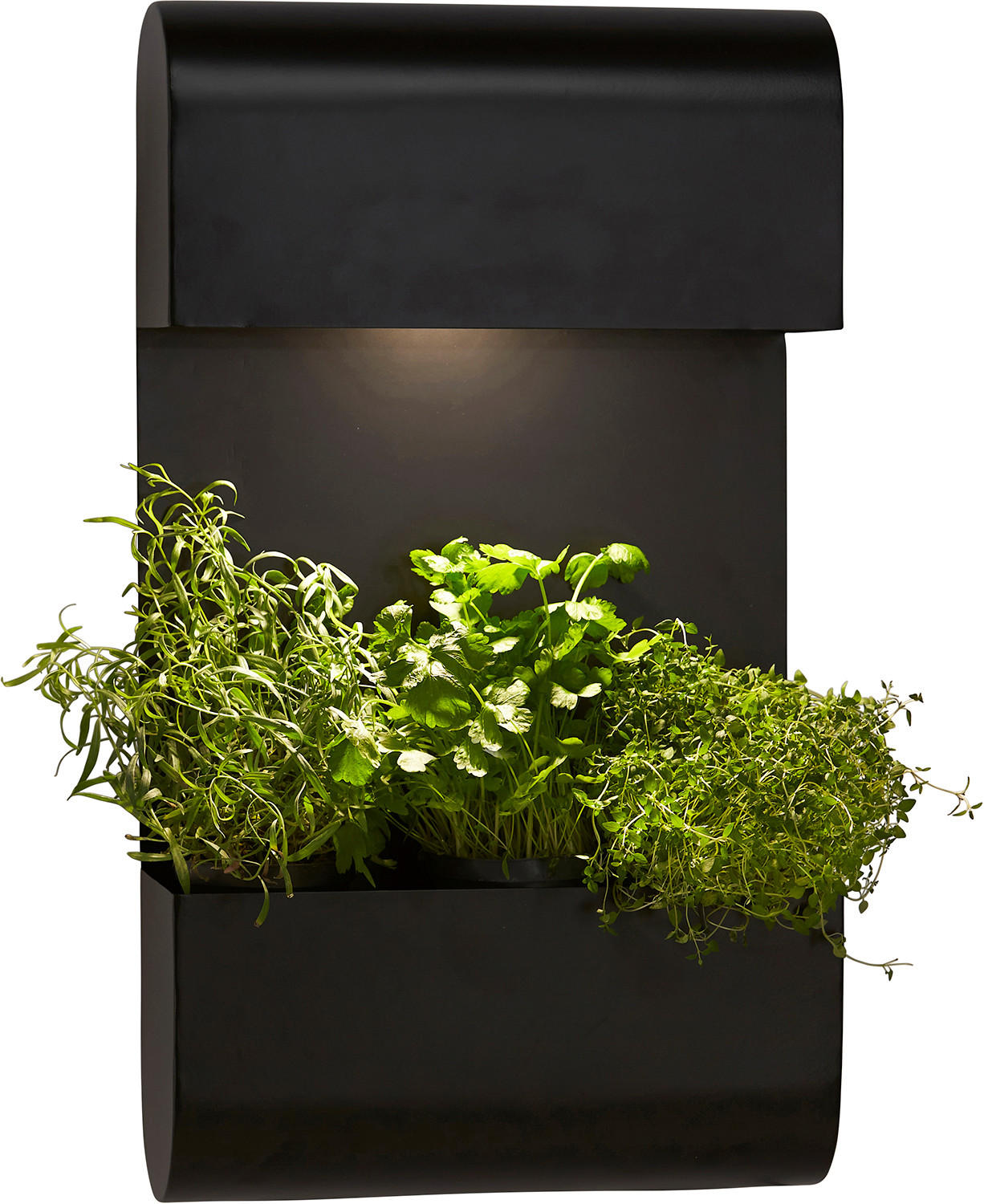 VÄGGLAMPA FÖR UTOMHUS - svart, Basics, metall (70/5/40cm)
