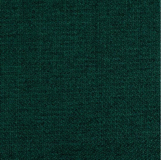 TKANINA ZA ZAVJESE tamno zelena - tamno zelena, Basics, tekstil (300cm)