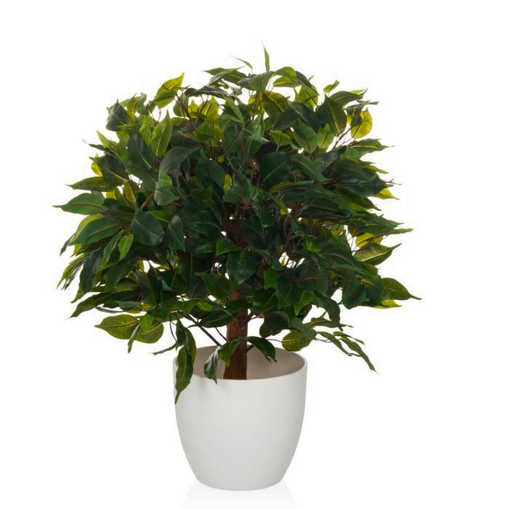 MID.YOU UMĚLÁ ROSTLINA fikus benjamín