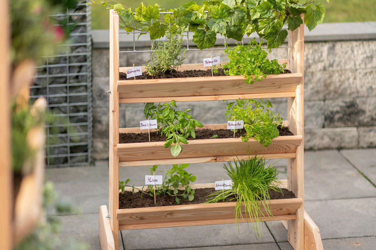 GARTENREGAL Holz  - Lärchefarben, Basics, Holz (80/95/50cm) - Ambia Garden