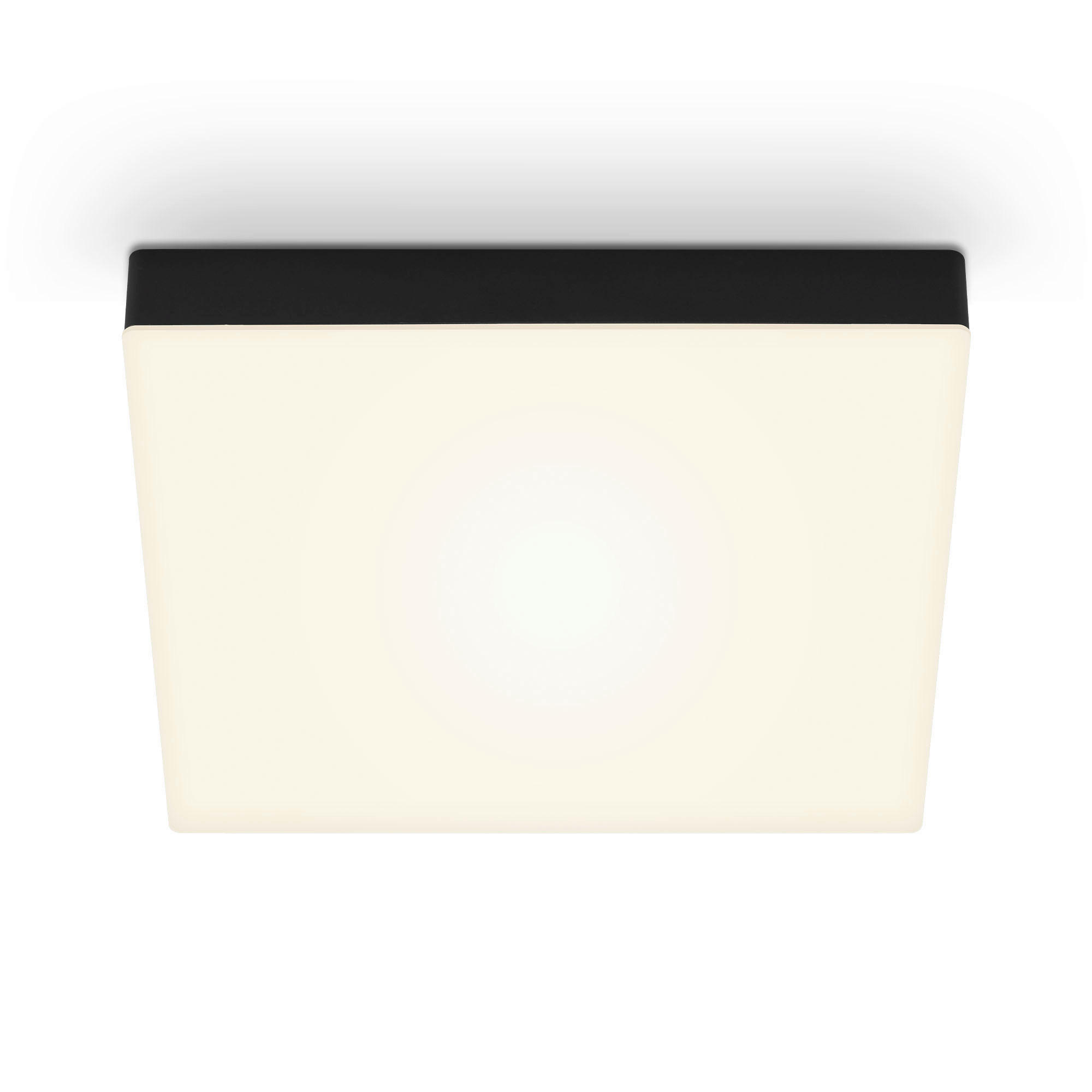 STROPNÍ LED SVÍTIDLO, 28,7/3,6/28,7 cm - černá, Basics, kov (28,7/3,6/28,7cm)