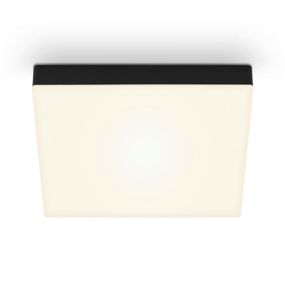 STROPNÉ LED SVIETIDLO, 28,7/3,6/28,7 cm - čierna, Basics, kov (28,7/3,6/28,7cm)