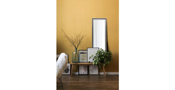 WANDSPIEGEL 50/150/3,5 cm  - Silberfarben, Trend, Glas/Holz (50/150/3,5cm) - Boxxx