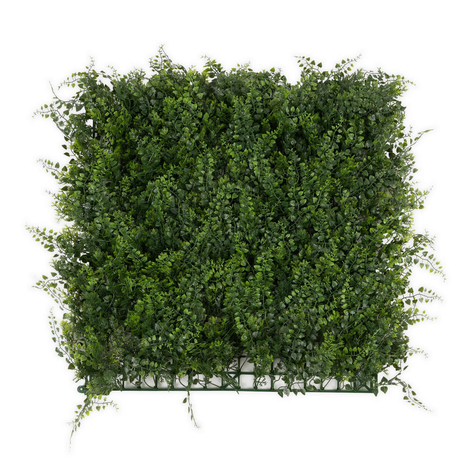 WANDVERKLEIDUNG  - Dunkelgrün/Jadegrün, Trend, Kunststoff (50/50cm) - Floordirekt