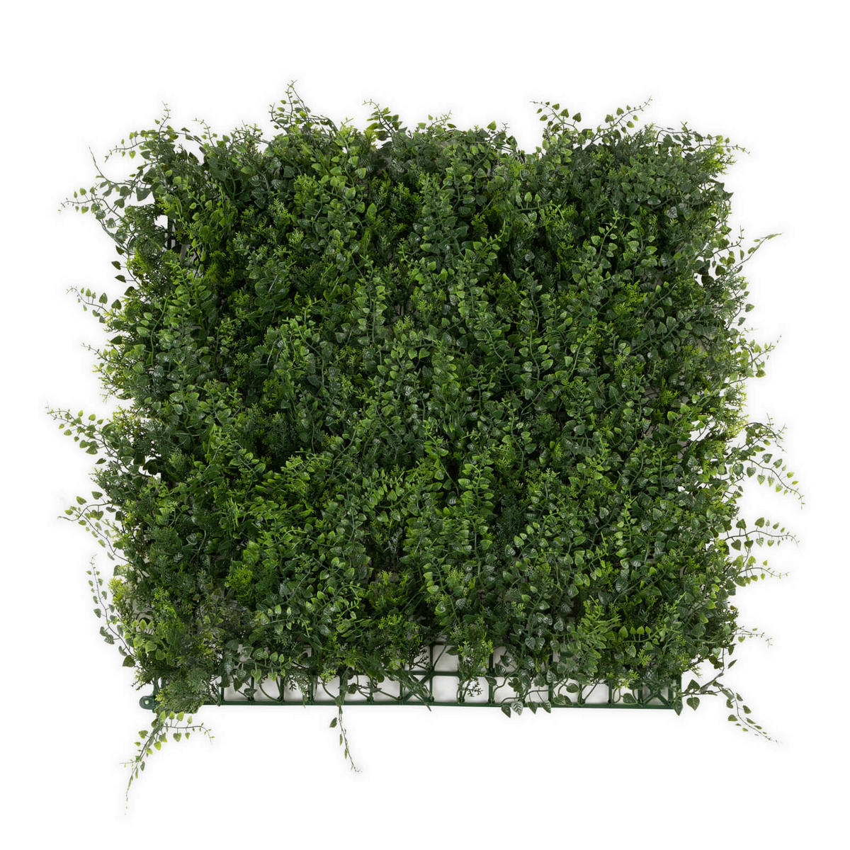 WANDVERKLEIDUNG  - Dunkelgrün/Jadegrün, Trend, Kunststoff (50/50cm) - Floordirekt