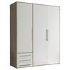 DREHTÜRENSCHRANK  in Weiß, Eiche San Remo  - Silberfarben/Eiche San Remo, MODERN, Holzwerkstoff/Kunststoff (155/194/58cm) - Livetastic