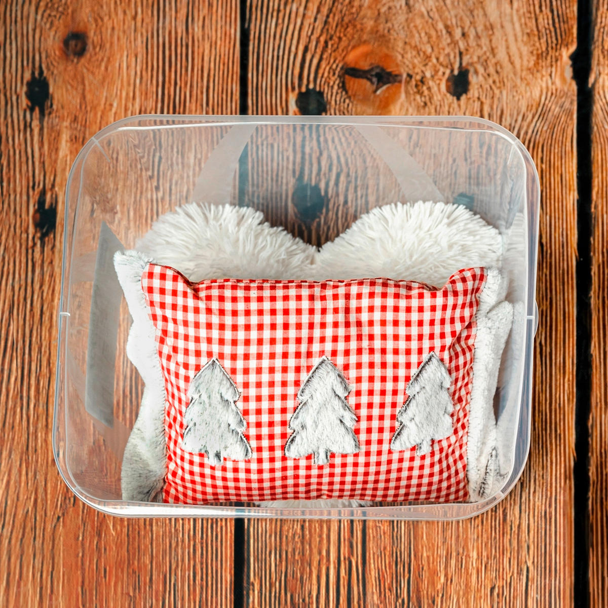 BOX MIT DECKEL ARCO  - Transparent, Basics, Kunststoff - Rotho