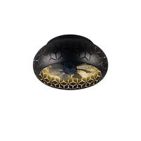 TAKFLÄKT BIDAR 50/22 cm  - svart/guldfärgad, Lifestyle, metall/plast (50/22cm)