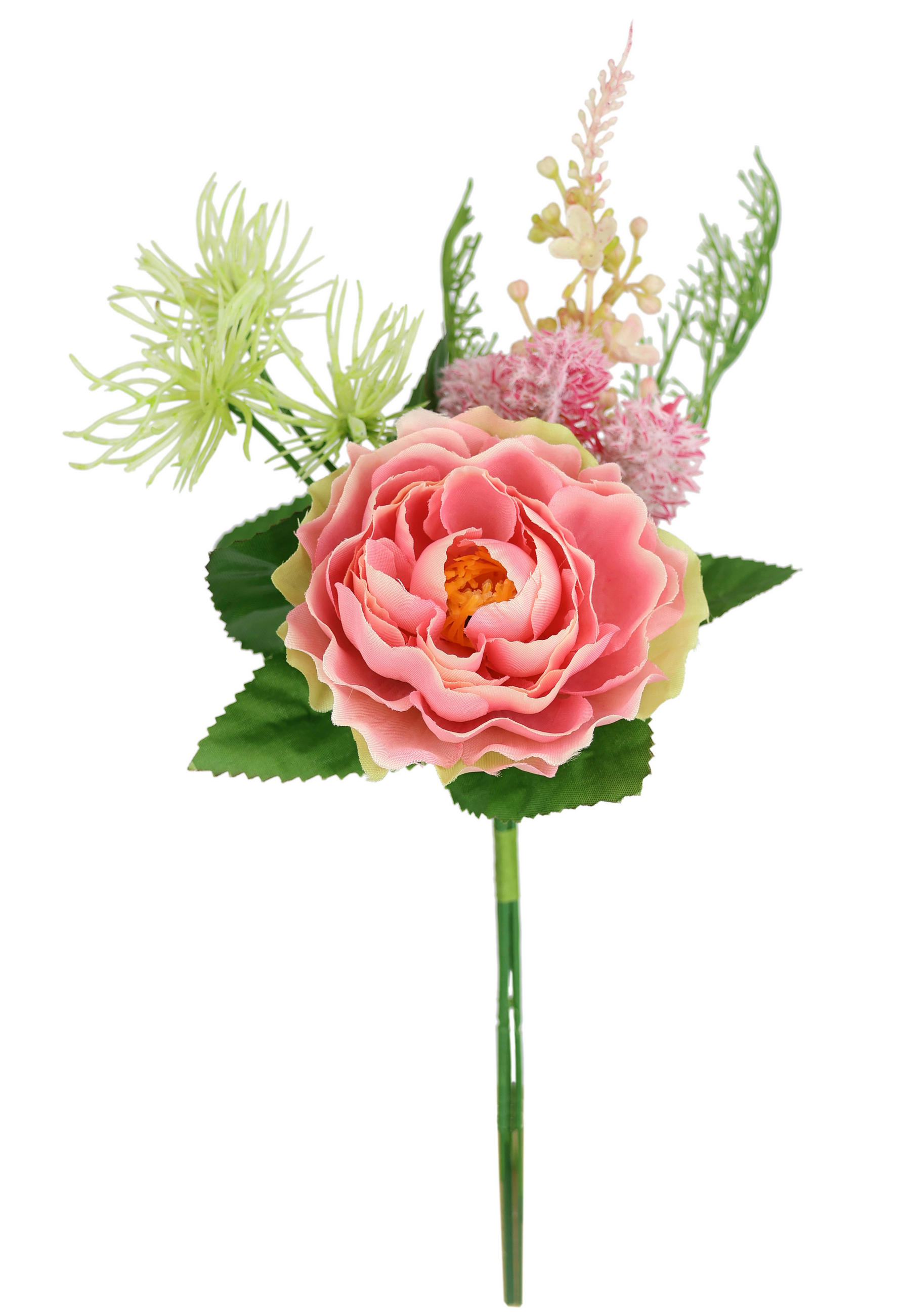 ROSE  - Rosa, Basics (11/24/11cm)