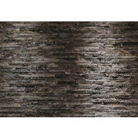 FOTOTAPETA velikost: 368/254 cm - šedá/hnědá, Natur, papír (368/254cm)