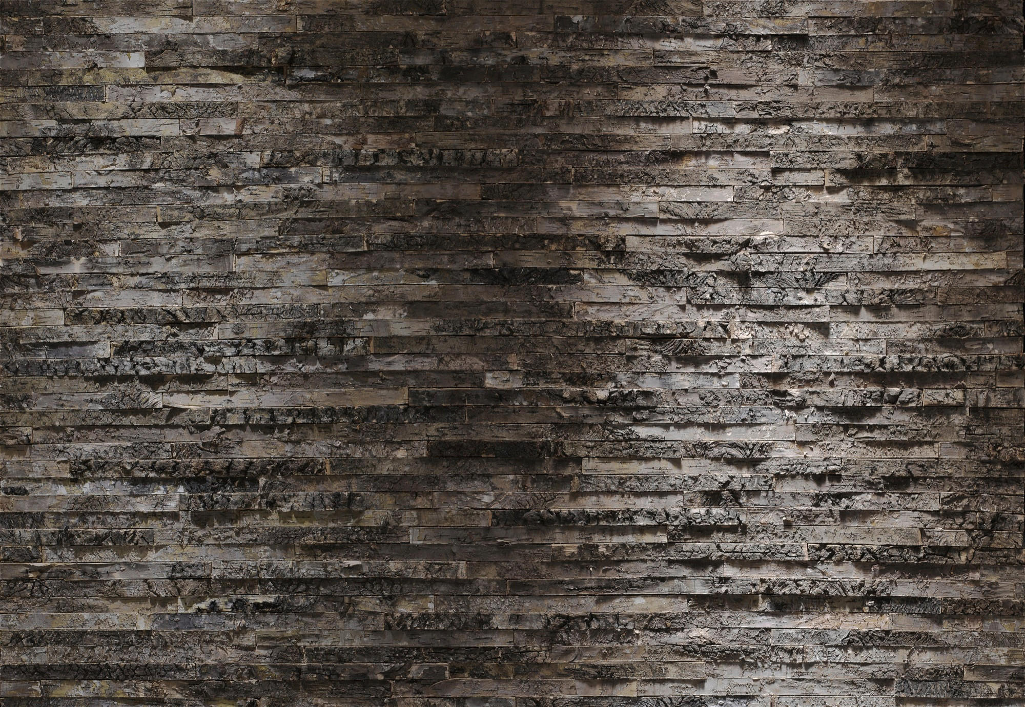 Komar Fototapete Birkenrinde Braun, Grau 368x254 cm