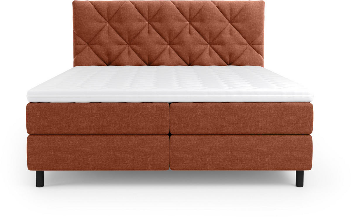 BOXBETT 180/200 cm  in Terracotta  - Terracotta/Schwarz, Design, Holz/Holzwerkstoff (180/200cm) - Esposa