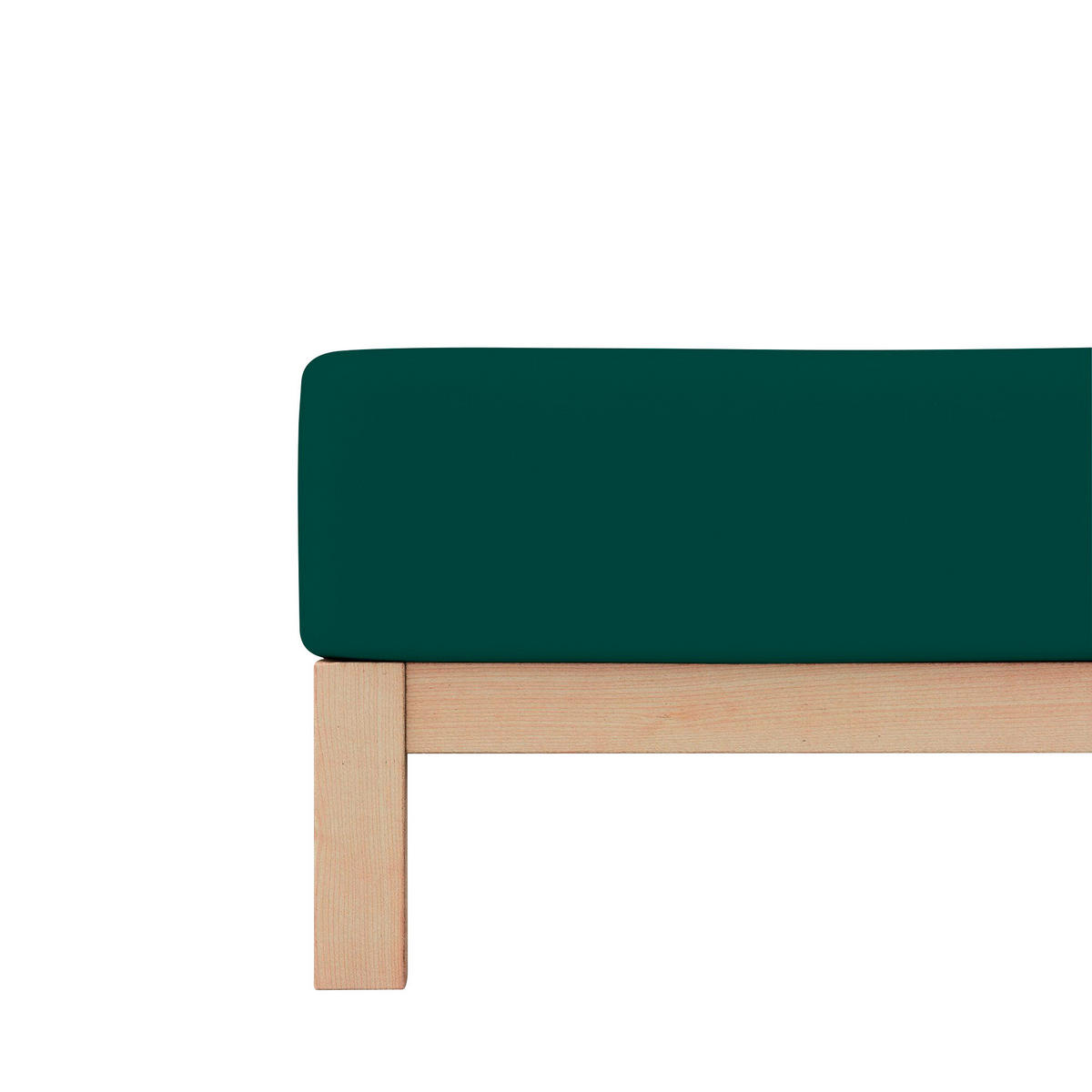PLAHTA S GUMICOM 140-160/200-220 cm  PURE  - tamno zelena, Basics, tekstil (140-160/200-220cm) - Schlafgut