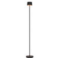 AKKU-STEHLEUCHTE 16/120 cm    - Schwarz, Design, Kunststoff/Metall (16/120cm) - Dieter Knoll